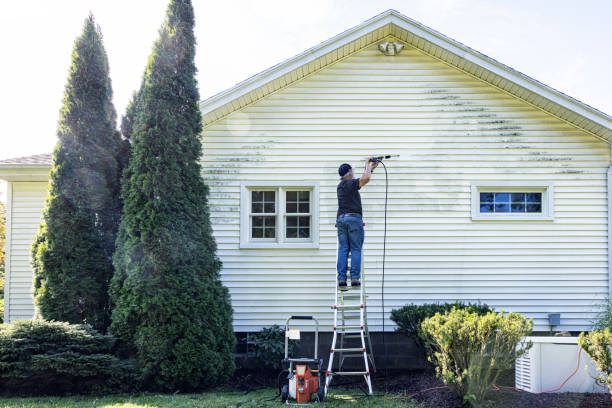 Professional Pressure washing in St Martins, MO